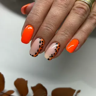 🍂🍁
