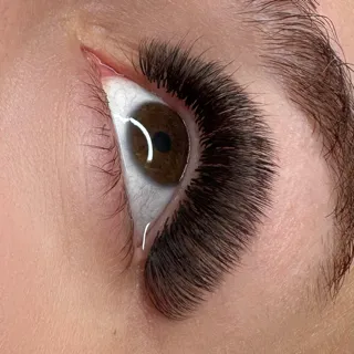 dark brown lashes 🤎