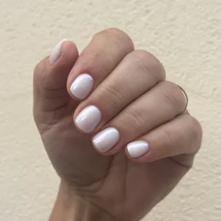 🐚