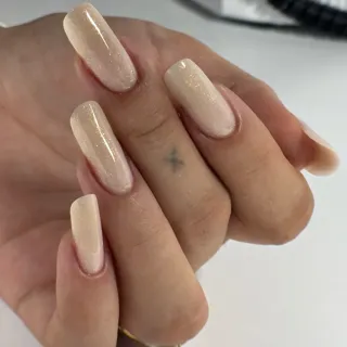 ✨