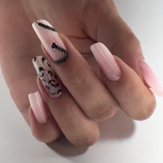 🐍❤️