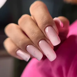 🌷🌺